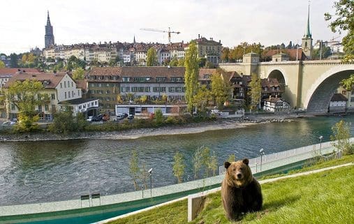 Bärenpark_Bern