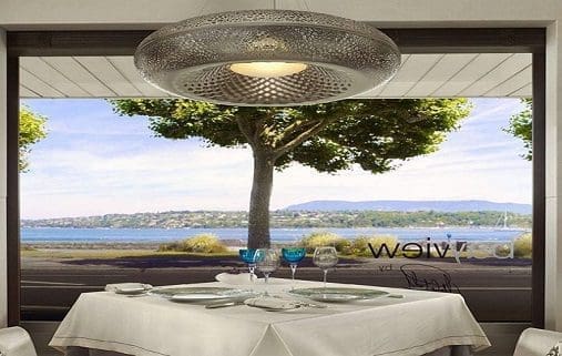 Bayview restaurant Geneva