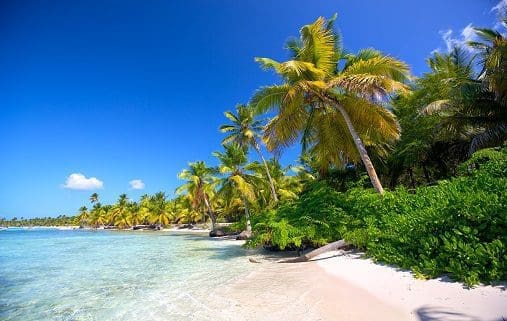 Paradise Island und Mangroven-Tour | Nodengo.com