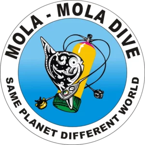 Mola Mola Dive Bali molamoladigingbali
